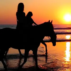 Horseback riding on the beach at sunset in Roatan