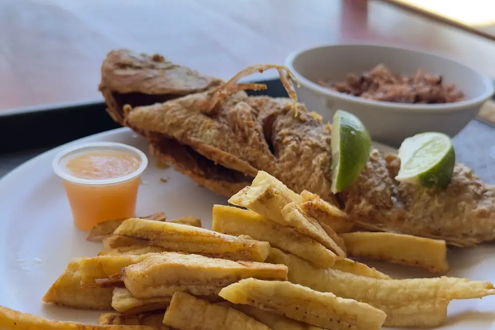 fried Fish fried roatan fish
