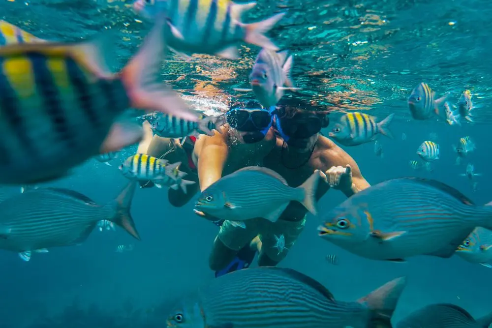 roatan_snorkeling_sloths_beach